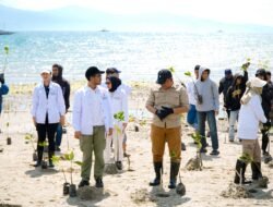 Penanaman 70 Ribu Mangrove oleh Rembuk Pemuda Sulteng : Ini Sedekah Untuk Alam