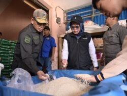 TPID Sulteng Tinjau Pasar dan Bulog di Parigi : Langkah Serius Kawal Ketersediaan Beras dan Stabilitas Harga