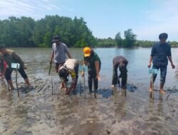 2.000 Bibit Mangrove Ditanam di Oncone Raya, Menandai Laboratorium Edukasi Mangrove Berbasis Masyarakat