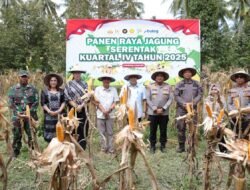 Panen Raya Jagung Serentak di Torue, Bupati Erwin Burase Tegaskan Dukungan Swasembada Pangan