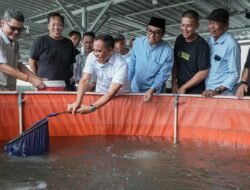 Anwar Hafid Perkuat Berani Tangkap Banyak, Budidaya Ikan Jadi Tumpuan Ekonomi Baru