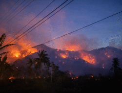 Warga Desa Avolua Parigi Moutong Dihimbau Mengungsi Sementara Akibat Dampak Karhutla