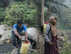 Lima Hari Karhutla: Kerugian Dalam Pendataan, Pemda Optimis Bermodalkan Spray Hand, Alkon, Kubangan Air dan Koordinasi Pemerintah Pusat