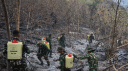 Karhutla di Parigi Moutong Capai 147 Hektare: 334 Personel Gabungan Disebar, Kerugian Lahan Perkebunan dalam Pendataan