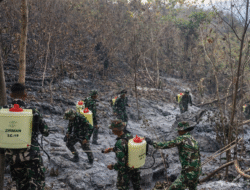 Karhutla di Parigi Moutong Capai 147 Hektare: 334 Personel Gabungan Disebar, Kerugian Lahan Perkebunan dalam Pendataan