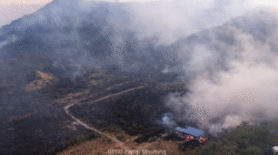 Status Siaga Darurat Karhutla di Parigi Moutong, Tercatat 22 Titik Kebakaran Sejak Akhir Januari