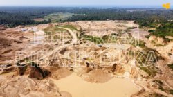 “Bungkam Dibalik Duka” : Dugaan ESDM Sulteng Tutup Informasi Kunjungannya ke Lokasi Tambang Kayuboko