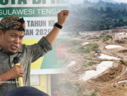 Tragedi Maut Tambang Kayuboko, DPRD Sulteng Desak Gubernur Turun Tangan, ESDM Tinjau Lokasi Kejadian