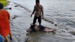 Kapolsek Muh. Zulfikar Pimpin Evakuasi Mayat Lansia yang Ditemukan Mengapung di Pantai Dimpalon Baru