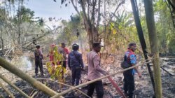 Kebakaran Lahan Warga di Bambalemo Hanguskan 80 Area, Polisi Duga Faktor Kelalaian