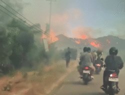 Kabut Asap Karhutla Avolua Ganggu Pengendara di Jalur Trans Sulawesi
