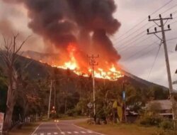 Bupati Parigi Moutong Terbitkan Edaran Larangan Bakar Lahan, Antisipasi Karhutla