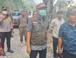 Bupati dan Wabup Parigi Moutong Tinjau Langsung Karhutla di Avolua