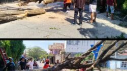 Pohon Tumbang di Parigi Makan Korban, Satu Anak Meninggal Dunia