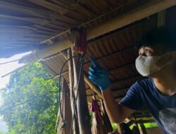 Mayat Tanpa Identitas Ditemukan Tergantung di Pondok Kebun Moutong, Polisi Dalami Penyebab Kematian