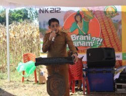 Panen Jagung 14 Ton per Hektare di Lobu, Parigi Moutong Dorong Hilirisasi dan Penguatan Ekonomi Desa