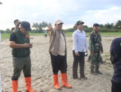 Banjir Torue Rusak Sawah Siap Panen, Pemkab Parigi Moutong Prioritaskan Perbaikan Tanggul dan Drainase