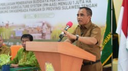 Anwar Hafid Targetkan Produktivitas Padi Sulteng Naik Jadi 6 Ton per Hektare, Percepat Modernisasi Pertanian