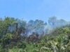Karhutla Terjadi di Sausu Parigi Moutong, 3,5 Hektare Lahan dan Hutan Terdampak
