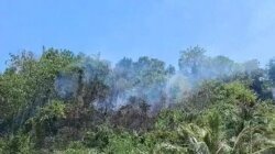 Karhutla Terjadi di Sausu Parigi Moutong, 3,5 Hektare Lahan dan Hutan Terdampak