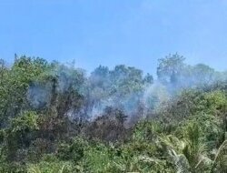 Karhutla Terjadi di Sausu Parigi Moutong, 3,5 Hektare Lahan dan Hutan Terdampak