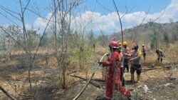 Delapan Titik Api Terverifikasi di Sulteng, Satbrimob Perkuat Penanganan Karhutla