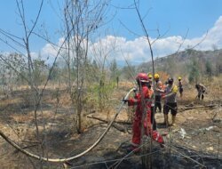 Delapan Titik Api Terverifikasi di Sulteng, Satbrimob Perkuat Penanganan Karhutla