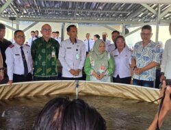 16.800 Benih Ikan Nila Disalurkan kepada Empat Kelompok Pembudidaya di Sigi