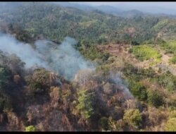 Kebakaran Lahan Seluas 1 Hektare Terjadi di Desa Aedan Raya Parigi Moutong