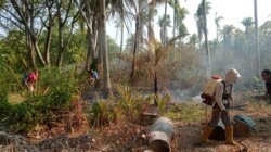 Kebakaran Kebun Kelapa di Lambunu Utara Padam, Sekitar 1 Hektare Lahan Terbakar