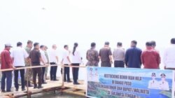 DKP Sulteng Minta Penebaran Ikan Nila di Danau Poso Dievaluasi