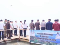 DKP Sulteng Minta Penebaran Ikan Nila di Danau Poso Dievaluasi